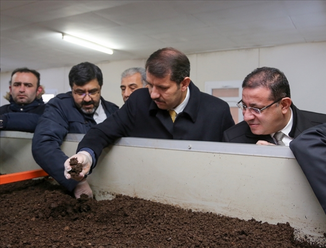 İlk Hasat Yapıldı