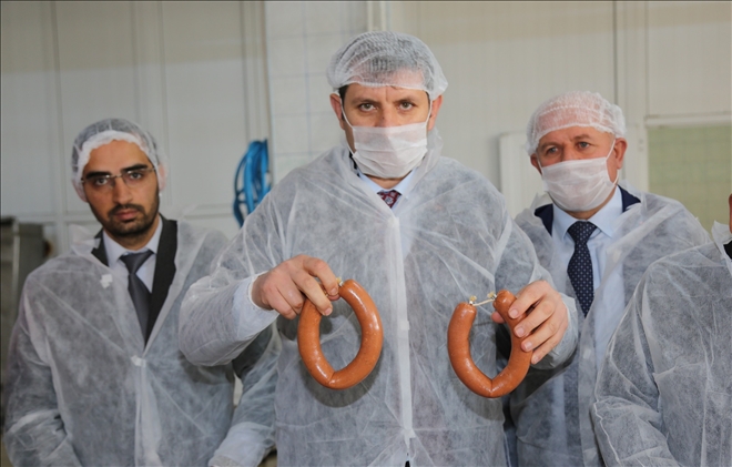 Bir Numarayız