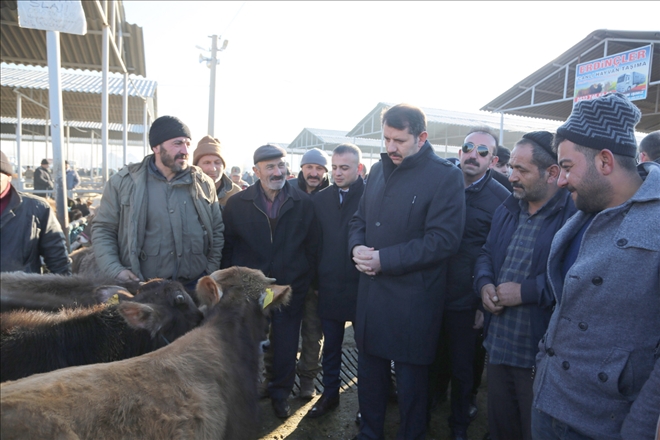 Alternatif Olmayacak