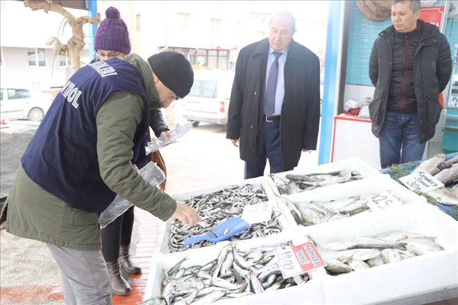 Denetimler Sürecek