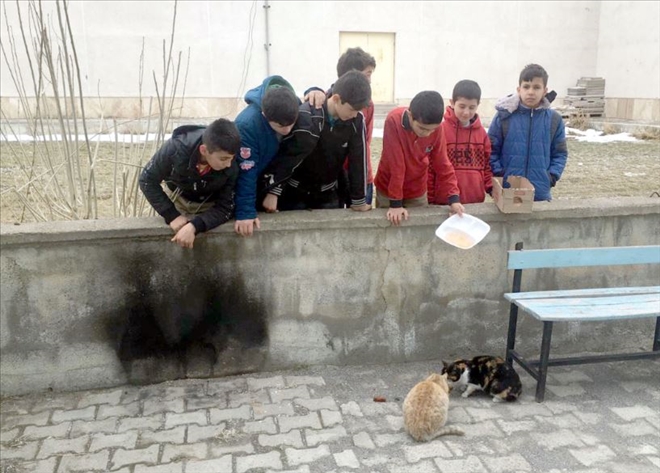 Artan Yemeklerini Sokak Hayvanlarıyla Paylaşıyorlar 