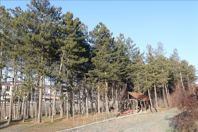En İlginç Egzotik Parkı Sivas´ta Kurulacak