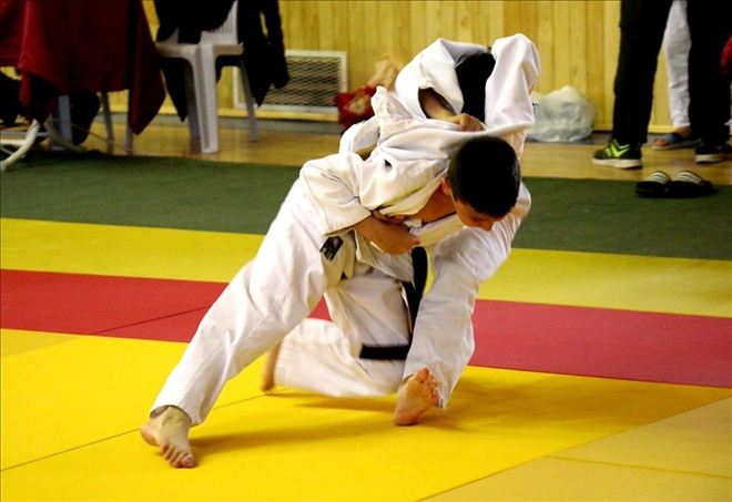 Judo Rüzgârı  