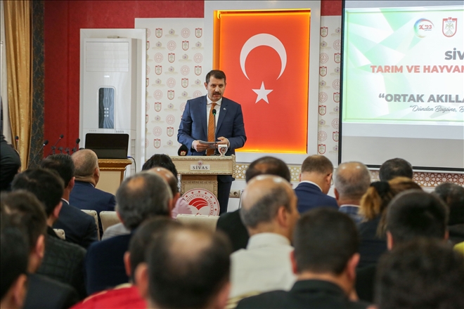 Mikro Milliyetçilik  Şehre Zarar Verir