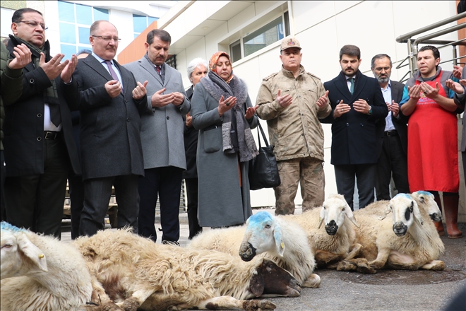 Şerlerin Defi İçin  41 Kurban Kesildi