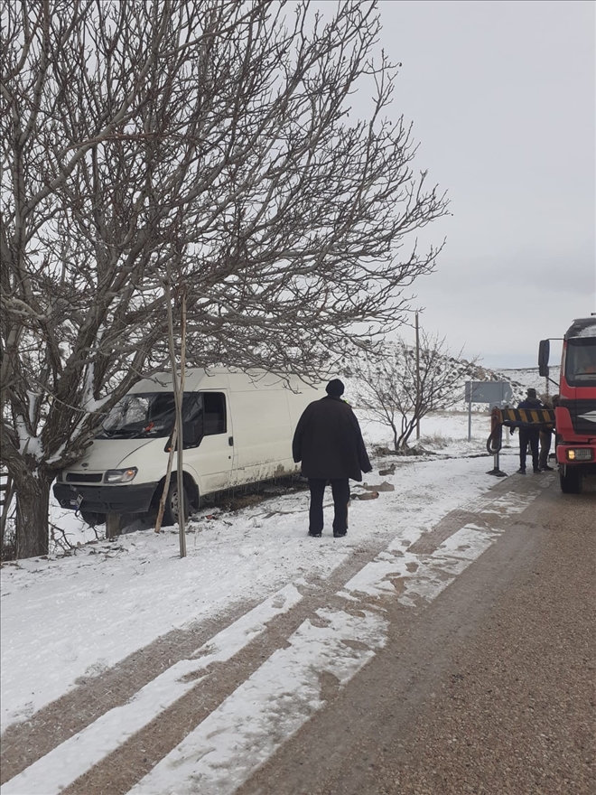  Ceviz Ağacı Hayatını Kurtardı