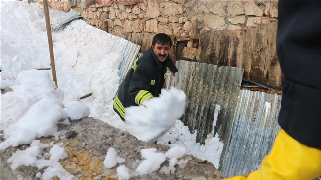 Danalar İçin Nefes Kesen Operasyon--Video