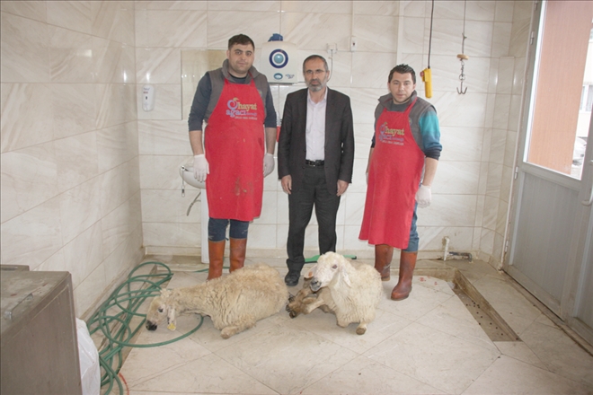 Koronavirüse Karşı  Kurban Kestirdiler