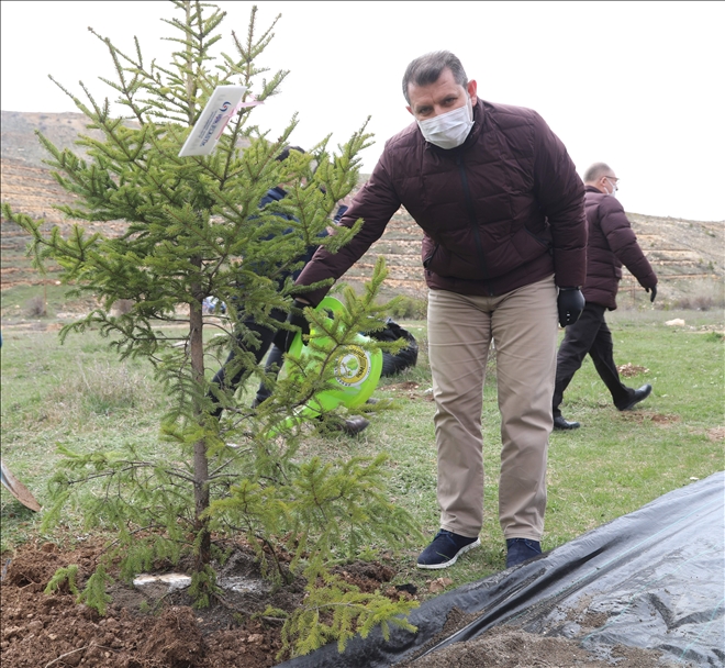 Her Bebek İçin Bir Fidan