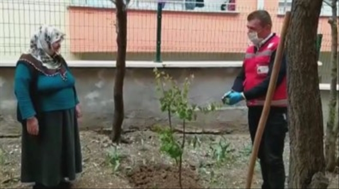 Yaşlı Kadın Destek Grubundan Fidan İstedi--Video