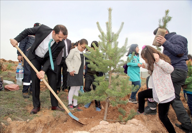 Hedef 648 Bin Fidan
