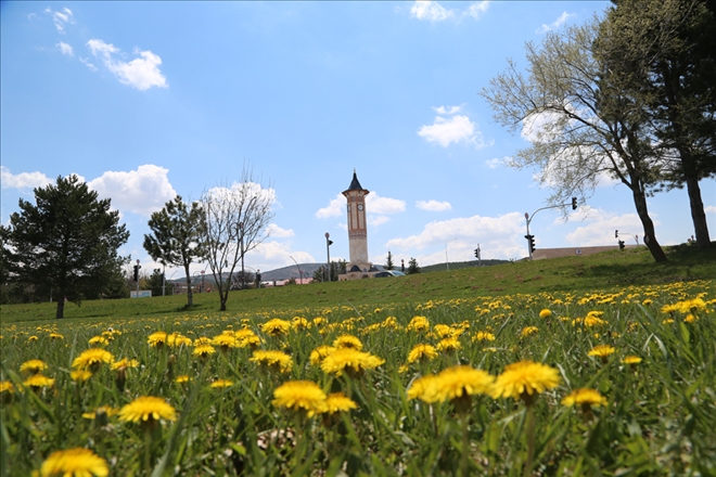 Yerleşke Büyülüyor