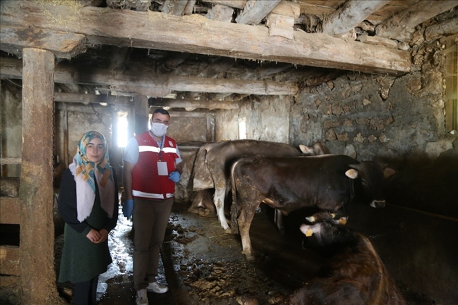 Destekler Çığ  Gibi Büyüyor
