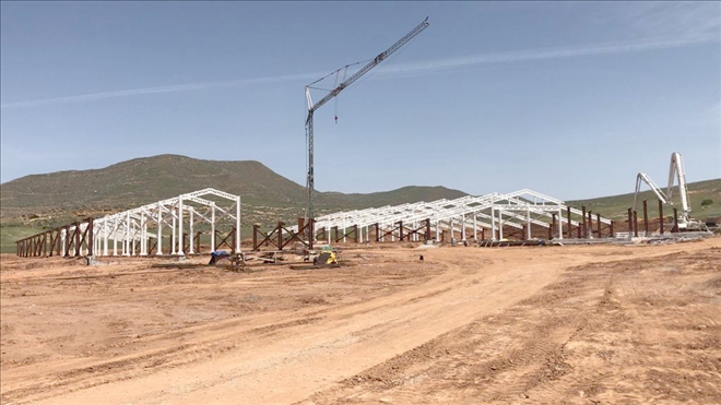 Projeye Virüs Engeli