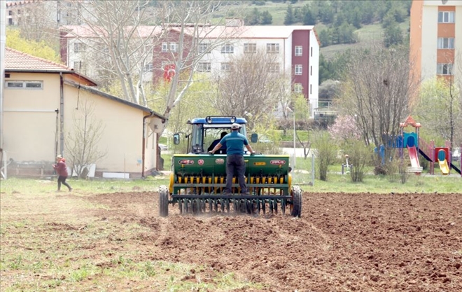13 Bin Yıldır Genetiği Bozulmadı 
