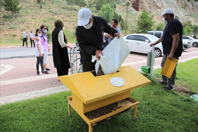 Sokak Hayvanları  Unutulmuyor