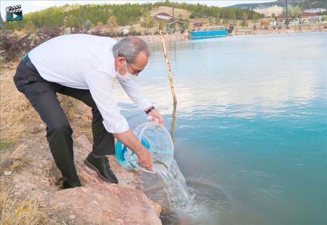 Çim Sazanları Gölete Bırakıldı -- Video