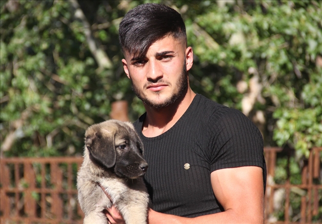 Atık Su Borusuna Mahsur Kalan Yavru Köpeği Kurtardı -- Video