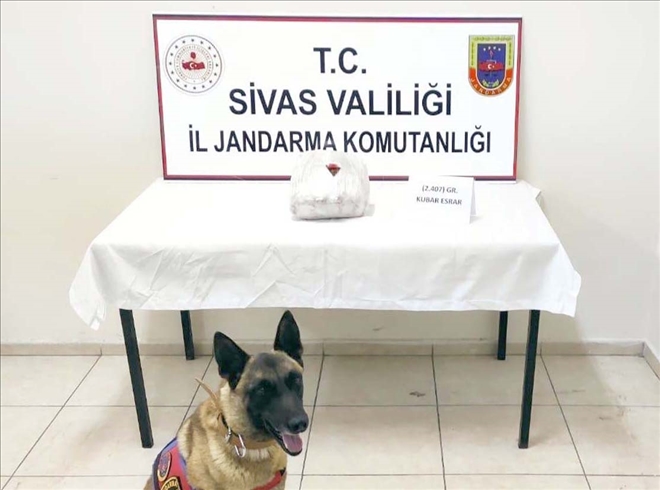Sivas´ta 4 Kilo 662 Gram Esrar Ele Geçirildi