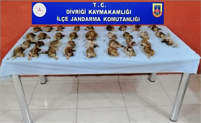 35 ADET BILDIRCIN PAHALIYA PATLADI