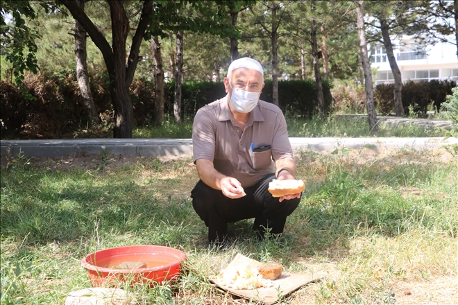 Tilki Her Gün Bu Camiye Uğruyor