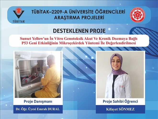 Sönmez´in Projesine  TÜBİTAK Desteği