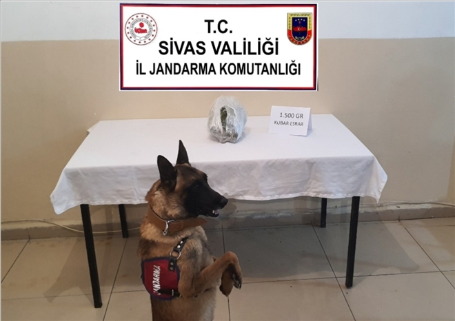 1.5 Kilo Kubar Esrar Ele Geçirildi