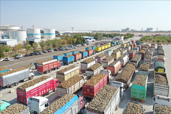 Pancarlar Geldi  Üretim Başladı