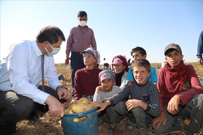    Tarlaya Eğitim  Çadırı Kurulacak