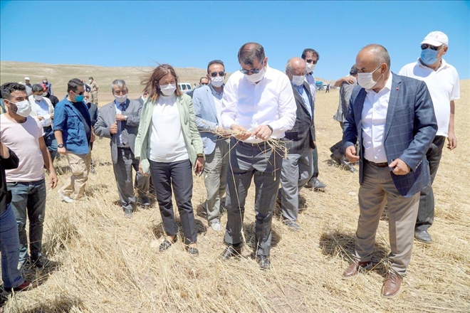 Sivaslı Çiftçilere  Afet Desteği