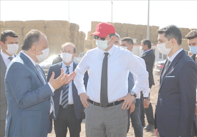    Fabrikalarımızda  Bacalar Tütecek