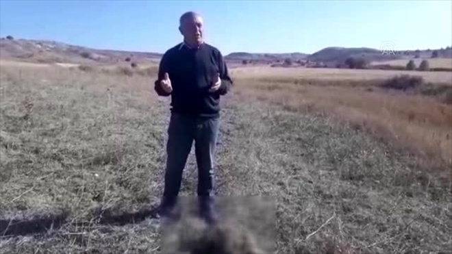  Telef Edilmiş Vaşak Bulundu