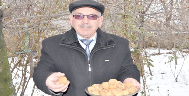 Antep Baklavasına Suşehri Cevizi