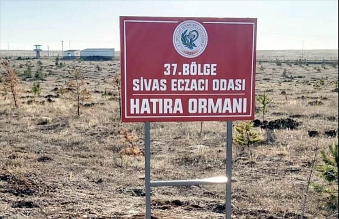 ECZACILARDAN 1000 ADET FİDAN