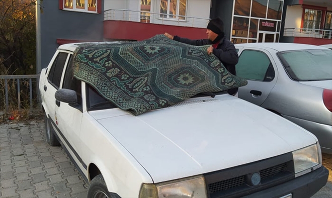 SOĞUĞA KARŞI KİLİMLİ ÇÖZÜM