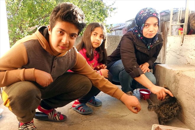 BU EVDE 60 KEDİ YAŞIYOR