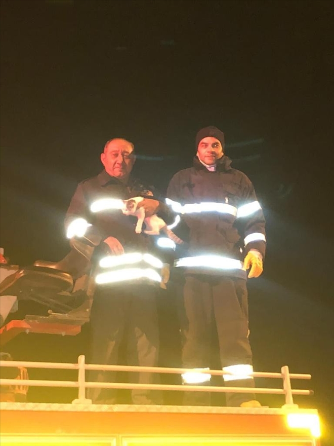 Kedinin Yardımına İtfaiye Koştu--Video