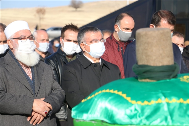 Sivas Dedesini Kaybetti