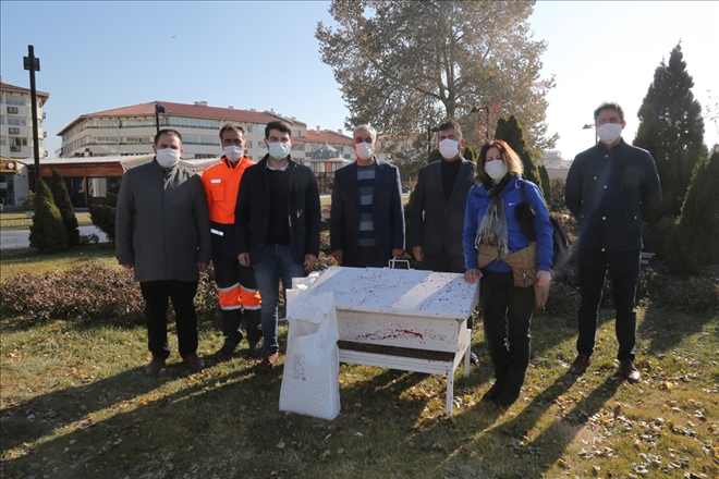 Sokak Hayvanları İçin Yem Bırakıldı
