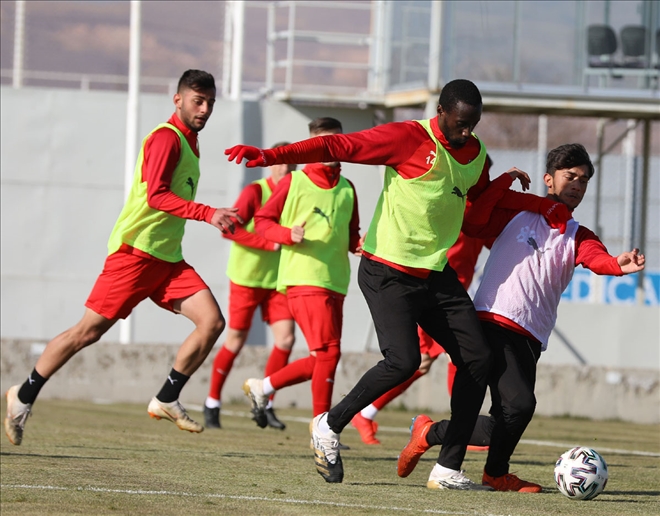 Maccabi Hazırlıkları Başladı