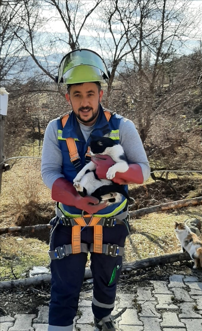 Yardım İstercesine Miyavladı
