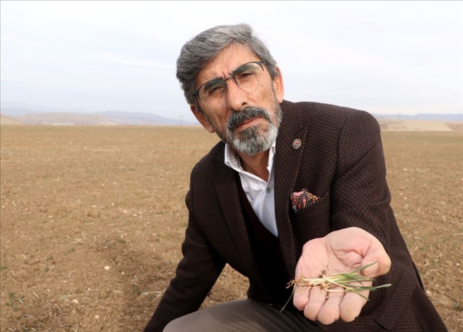 Yağış Etkili Olmazsa Rekolte Düşecek