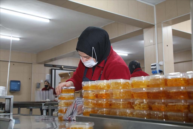 Organik Arıcılıkta Marka Olacağız
