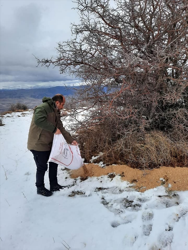 Usulsüz Av Yapan 9 Avcıya 15 Bin TL Ceza