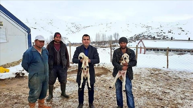 Proje İle Sürü Sahibi Oldu