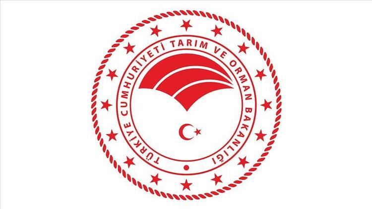 Şebeke Yapım İşi İhale Edilecek