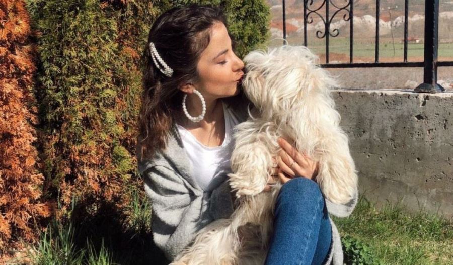 Köpeğini Getirene 2 Bin Lira Ödül Verecek