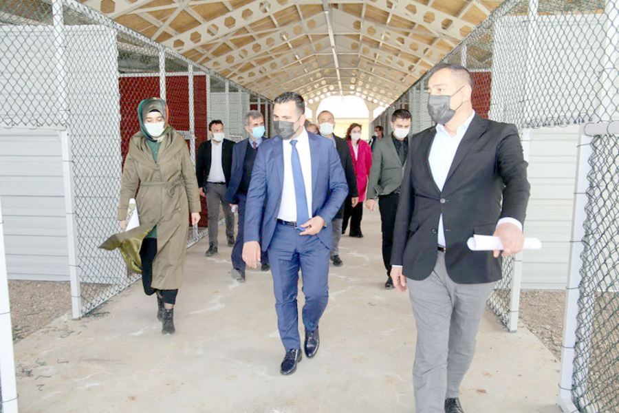  Modern Kangal Merkezinde Sona Yaklaşıldı--Video