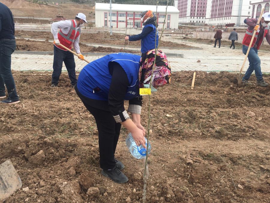 Gençlerle Fidan Dikti
