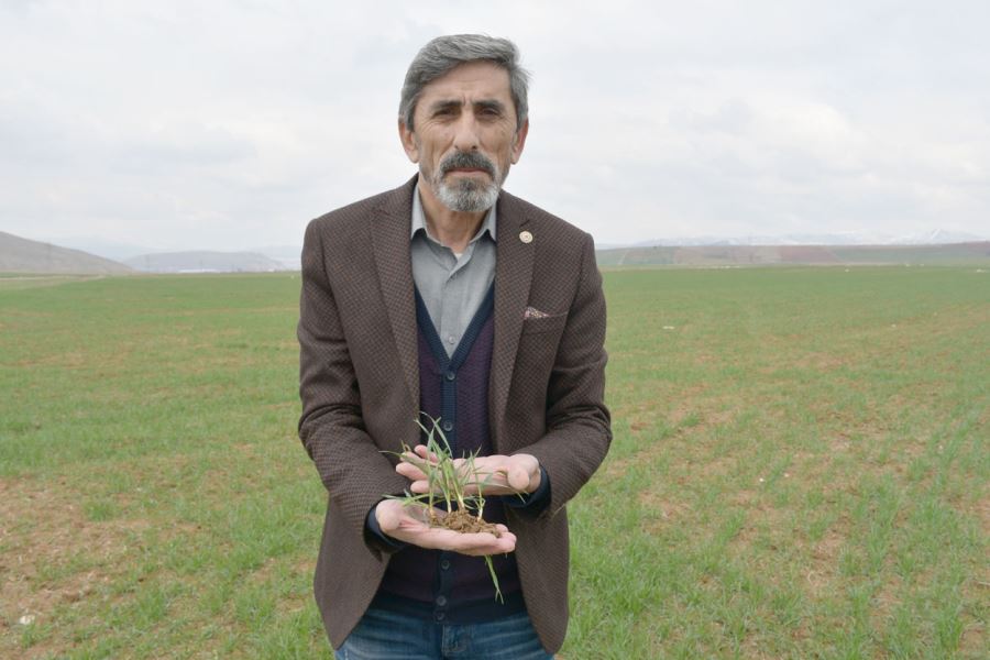 Bahar Yağışları Can Suyu Oldu